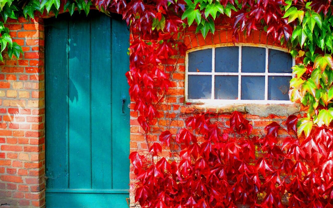 Fall & Winter Seasonal Maintenance Guide